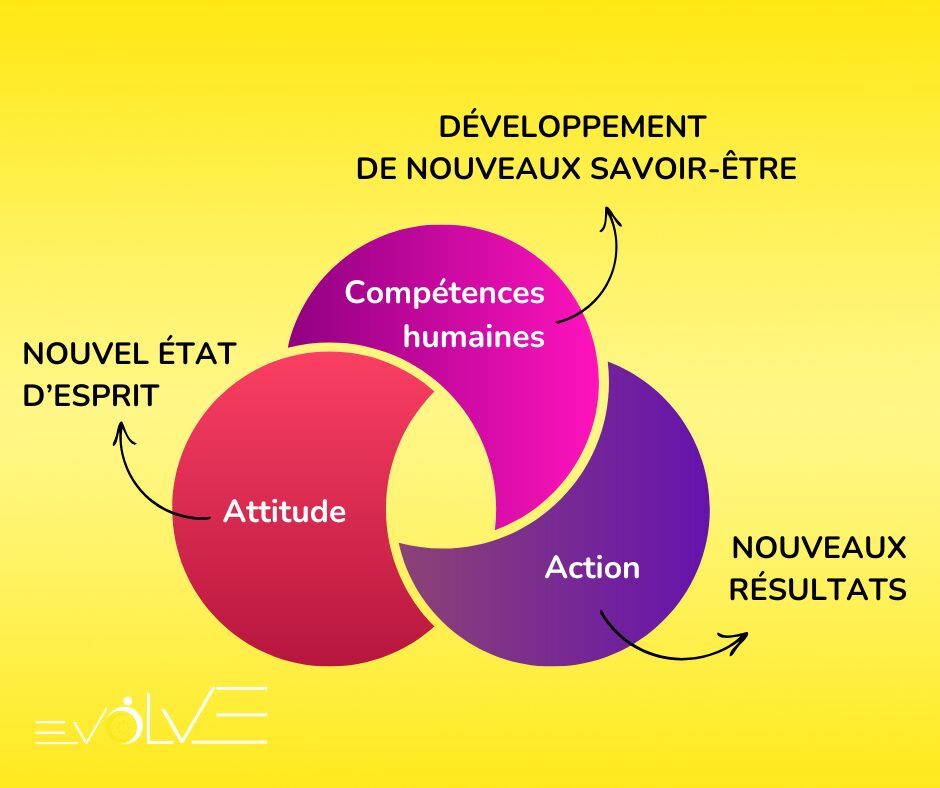 Schéma illustrant le lien entre attitude, compétences humaines, action et résultats en entreprise