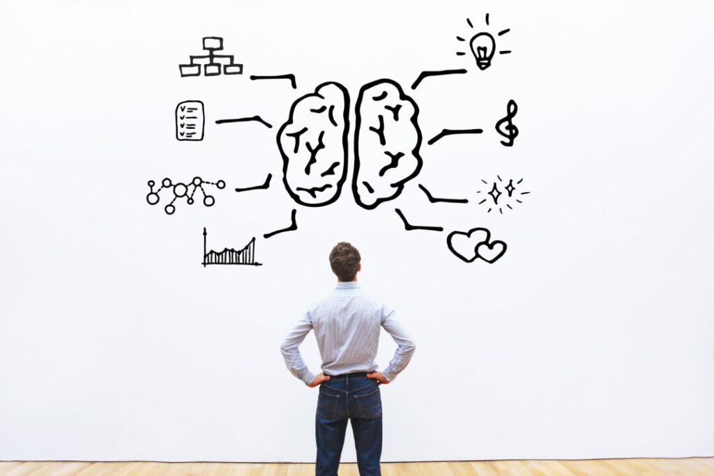Professionnel face à un schéma de cerveau illustrant les enjeux cognitifs et pédagogiques de la formation